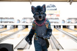 When Furballs Strike 56